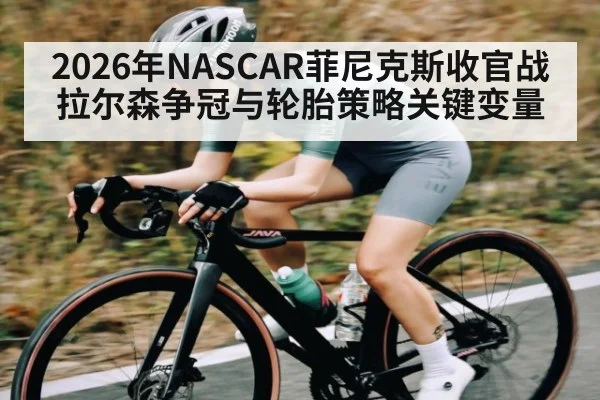 2026年NASCAR菲尼克斯收官战拉尔森争冠与轮胎策略关键变量